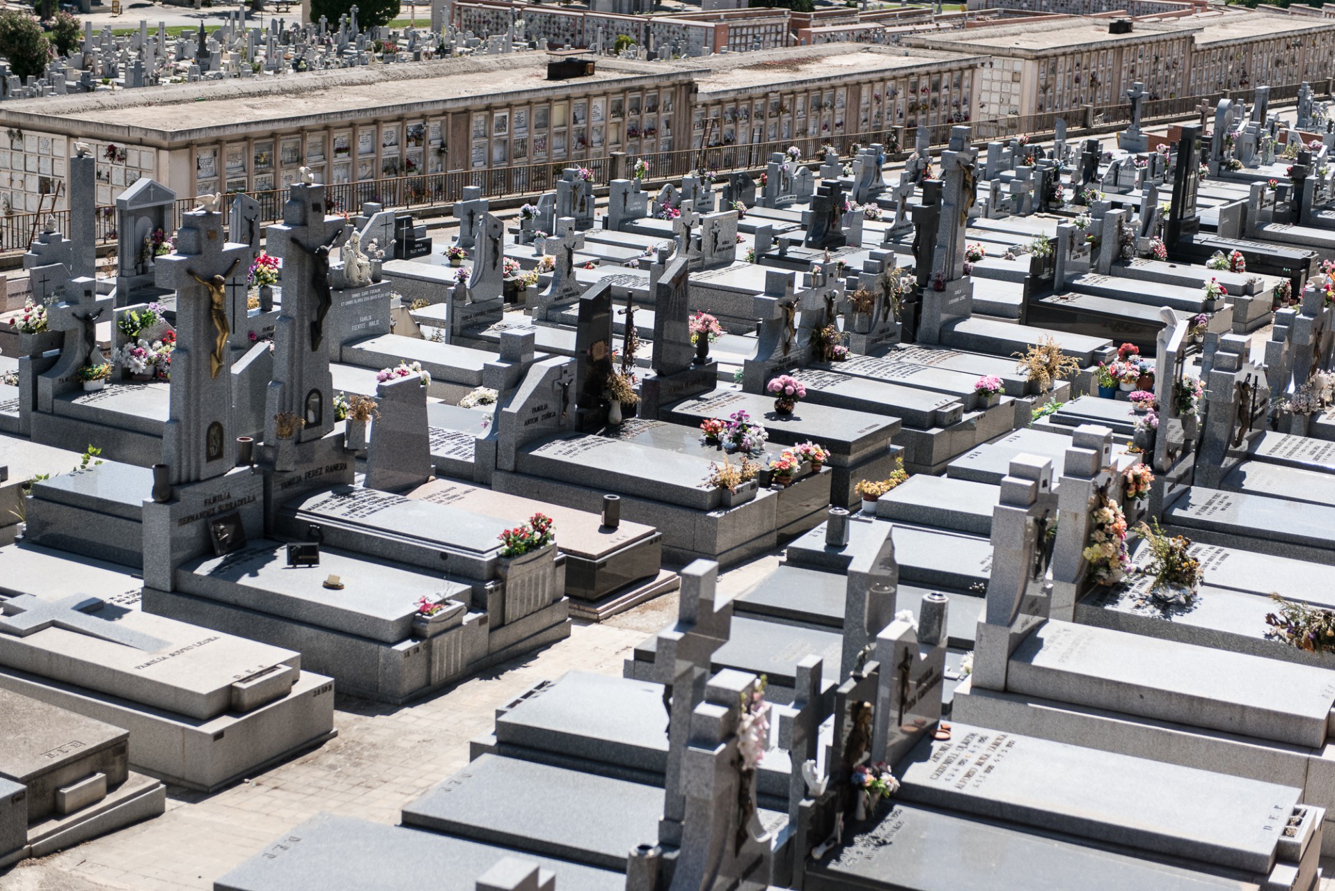 Ana Matos - sector funerario 2015-39