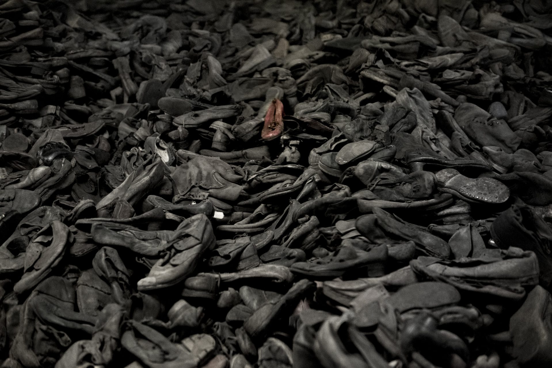 Ana Matos - Auschwitz 2015-61